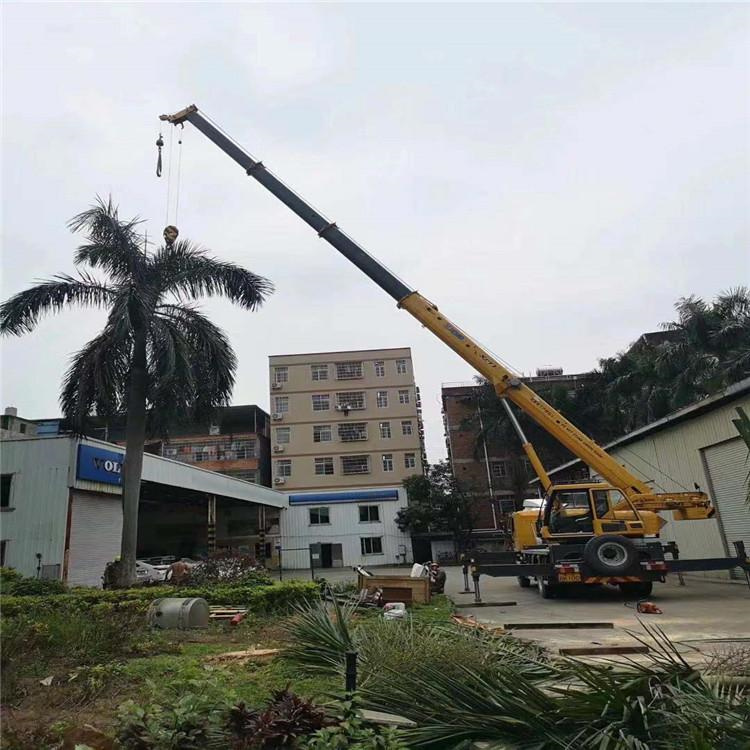 临沭汽车吊出租多少钱？全面解析与市场行情